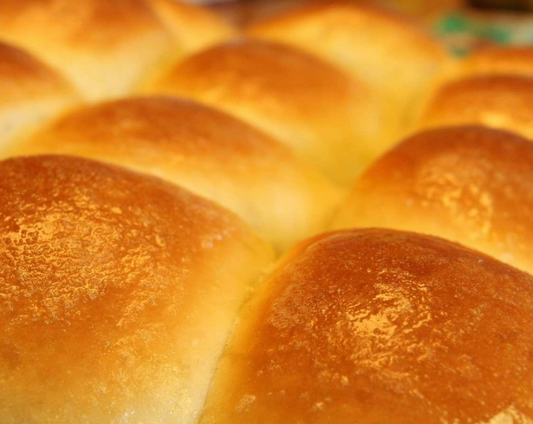 Dinner Rolls